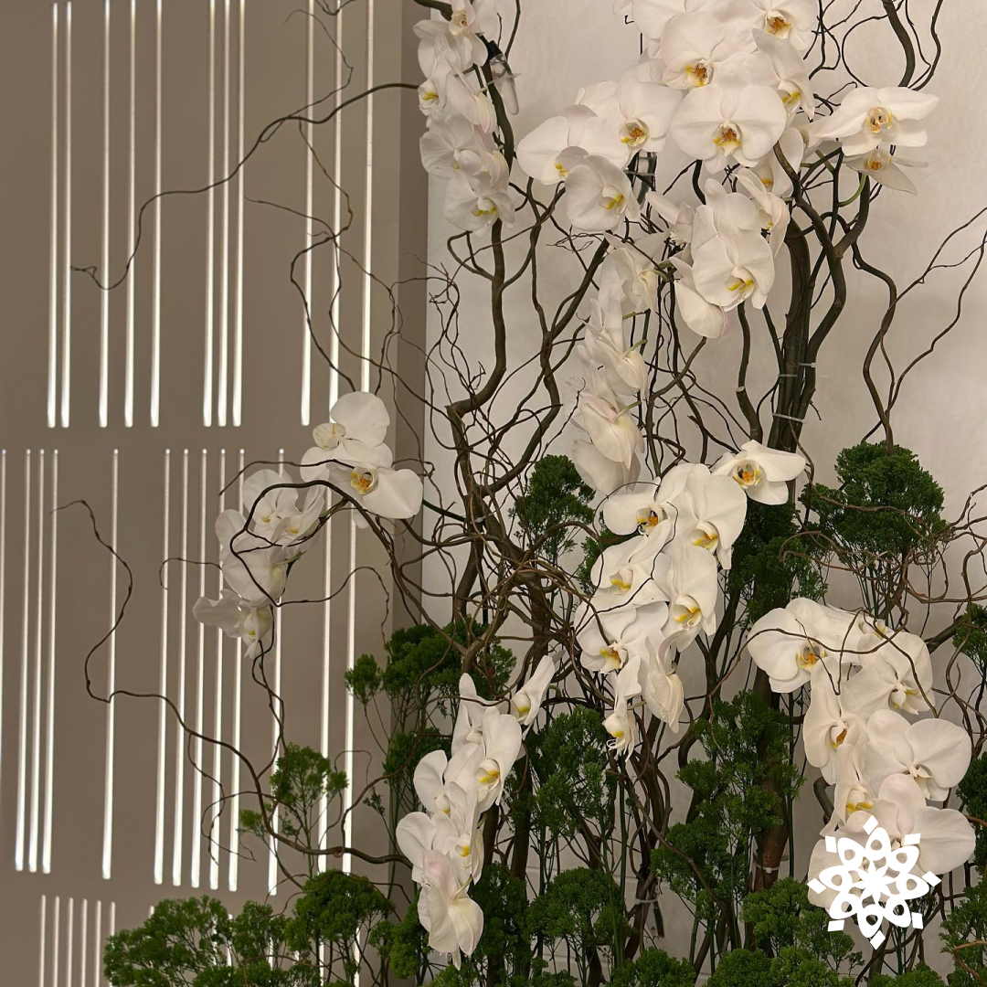 ركن الاستقبال