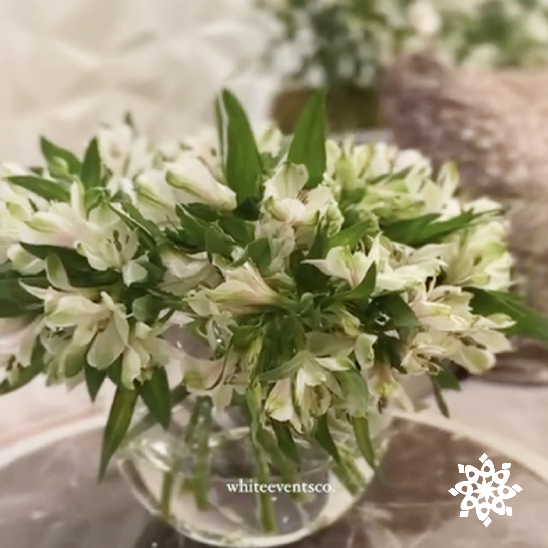 ملچة