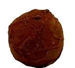 Dark Chocolate Caramel